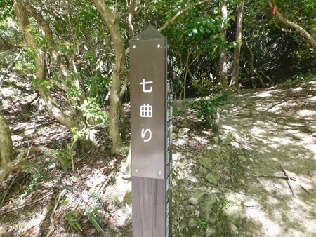 P1080526