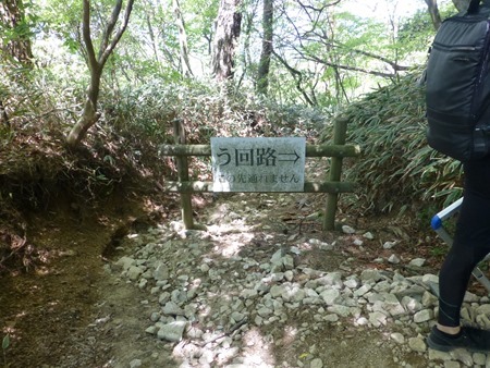 P1080536