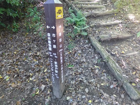 P1080599 P1080599
