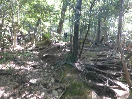 P1080602 P1080602