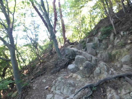 P1080609 P1080609