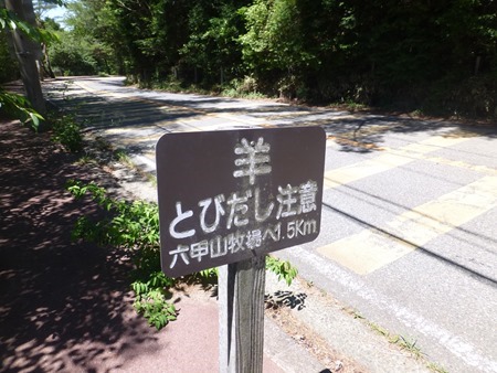 P1080630